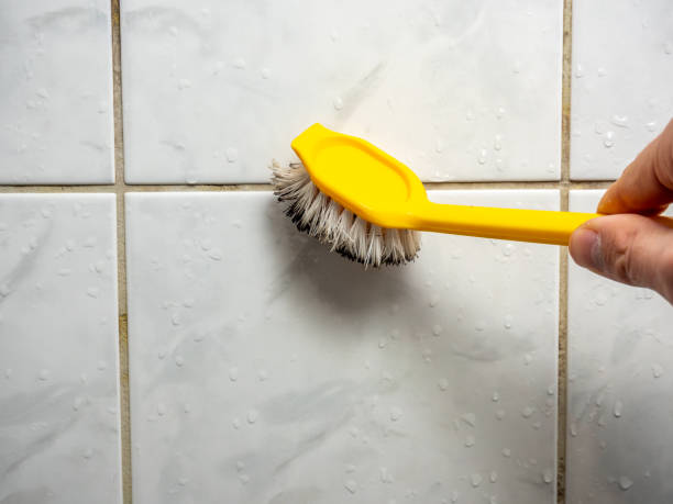 Best Residential Mold Remediation in Okauchee Lake, WI