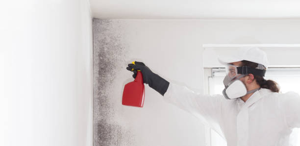Best Industrial Mold Remediation in Okauchee Lake, WI